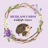 Bedlam Farm Wildlife Rescue, Lincolnshire